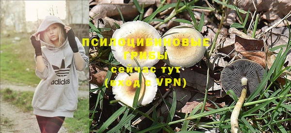 PSILOCYBIN Краснослободск