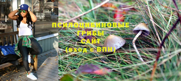 PSILOCYBIN Краснослободск