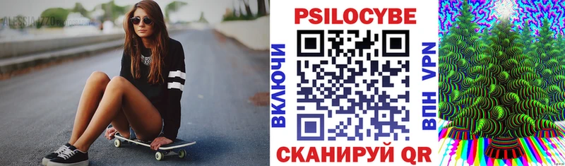 Псилоцибиновые грибы GOLDEN TEACHER  Стародуб 