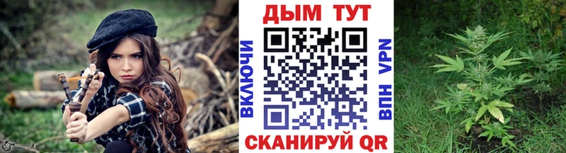 Бошки марихуана индика  Стародуб 